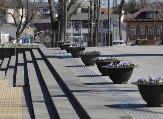 Ukmergės viešąsias erdves papuošė pirmosios pavasarinės gėlės