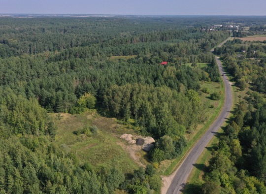 Jogvilų kaime (Lyduokių sen.) apie 0,9 ha dydžio laisvos valstybinės žemės sklype bus įsteigtos naminių gyvūnų augintinių kapinės