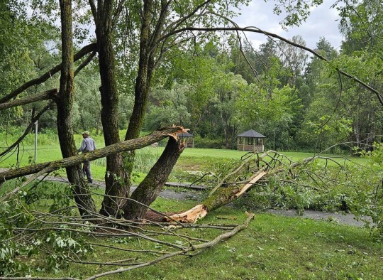 Praūžusi audra Ukmergės mieste išvertė apie 100 medžių