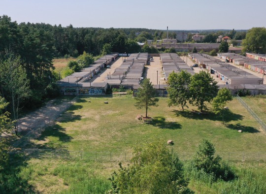 Naujoji šunų vedžiojimo aikštelė