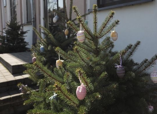 Ukmergė laukia Velykų