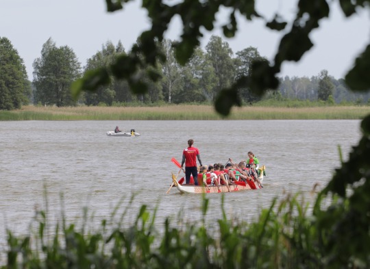Drakono valčių festivalis