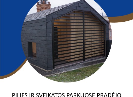 TOP projektai