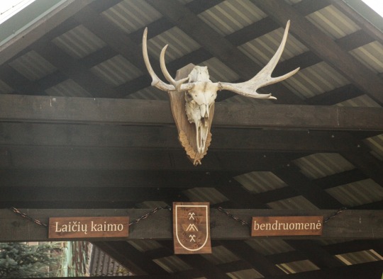 Laičių bendruomenės šventės akimirkos