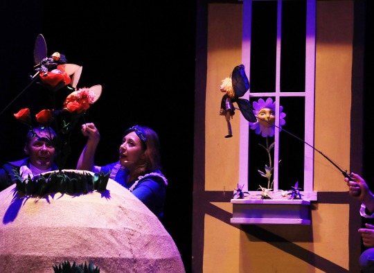 Lėlių teatrų festivalis „Debesų avytė“_Nuotr. Dainius Vytas