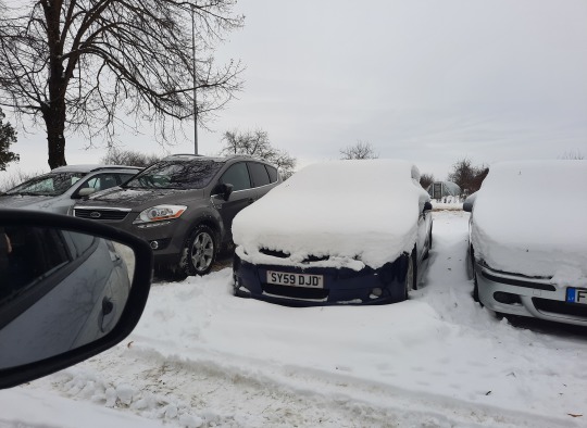 Nustatyta daugiau nei 50 transporto priemonių, kurioms yra uždraustas dalyvavimas viešajame eisme