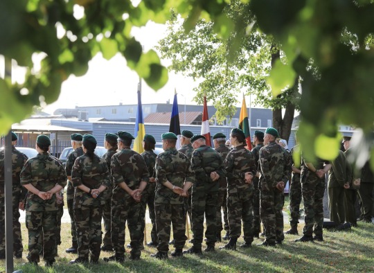 Baltijos kelio minėjimas