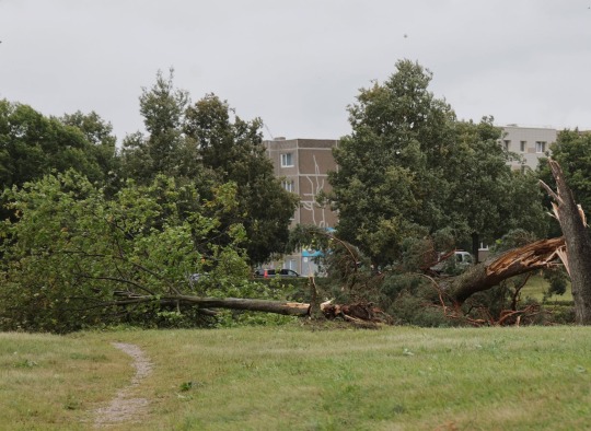 Šeštadienį Lietuvą ir Ukmergės rajoną užklupęs uraganinis vėjas paliko daugybę padarinių