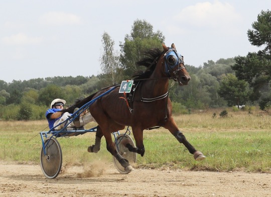 Renginio akimirkos