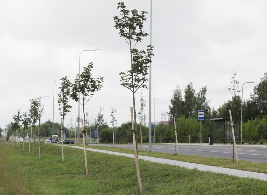 Atnaujinta Deltuvos gatvės atkarpa