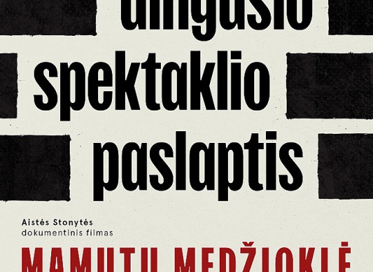 Kvietimas/plakatas į renginį