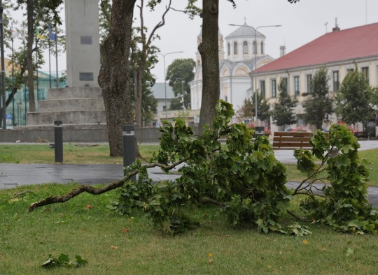 Šeštadienį Lietuvą ir Ukmergės rajoną užklupęs uraganinis vėjas paliko daugybę padarinių