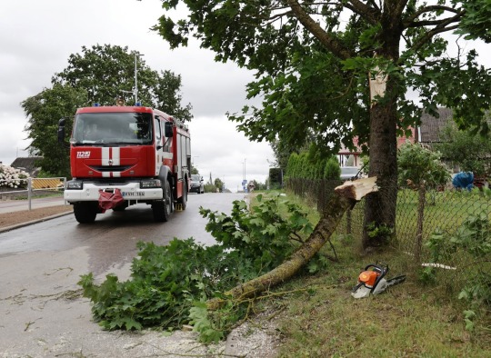 Šeštadienį Lietuvą ir Ukmergės rajoną užklupęs uraganinis vėjas paliko daugybę padarinių