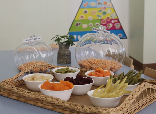 Vaikų maitinimui ekologiškais produktais Ukmergėje - Europos Komisijos dėmesys