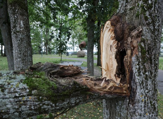 Šeštadienį Lietuvą ir Ukmergės rajoną užklupęs uraganinis vėjas paliko daugybę padarinių