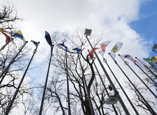 Paminėta Lietuvos narystės NATO 20-mečio sukaktis 