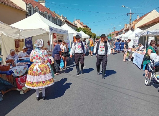 Viešnagės akimirkos
