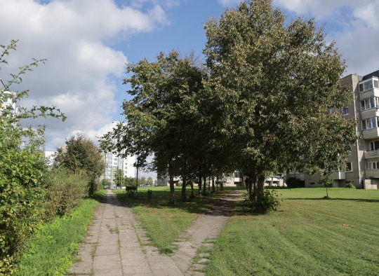 Startuoja Pivonijos mikrorajono viešųjų erdvių atnaujinimo projektas