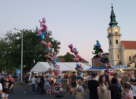 Viešnagės akimirkos