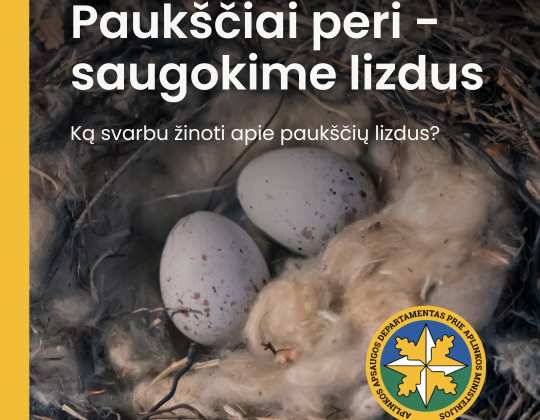 Paukščiai pradeda perėti. Netrikdykime paukščių, saugokime jų namus – lizdus