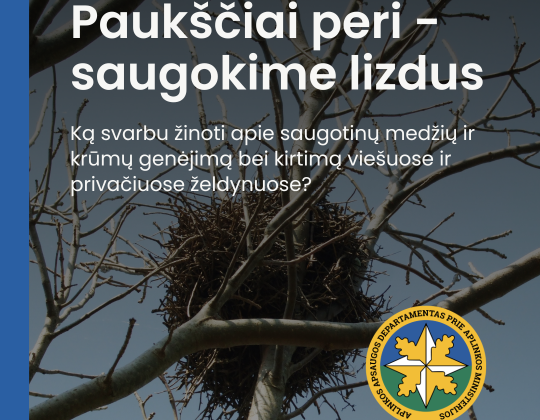 Paukščiai pradeda perėti. Netrikdykime paukščių, saugokime jų namus – lizdus