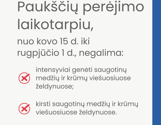 Paukščiai pradeda perėti. Netrikdykime paukščių, saugokime jų namus – lizdus