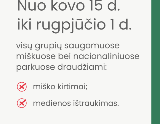 Paukščiai pradeda perėti. Netrikdykime paukščių, saugokime jų namus – lizdus