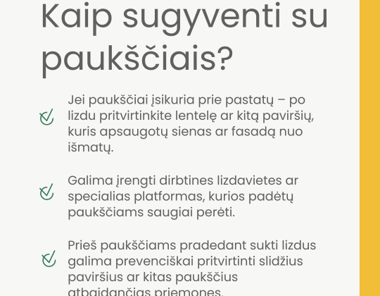 Paukščiai pradeda perėti. Netrikdykime paukščių, saugokime jų namus – lizdus