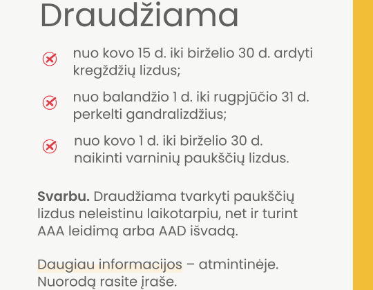 Paukščiai pradeda perėti. Netrikdykime paukščių, saugokime jų namus – lizdus