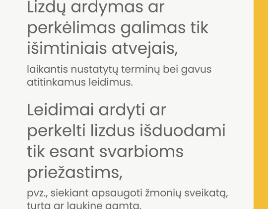 Paukščiai pradeda perėti. Netrikdykime paukščių, saugokime jų namus – lizdus