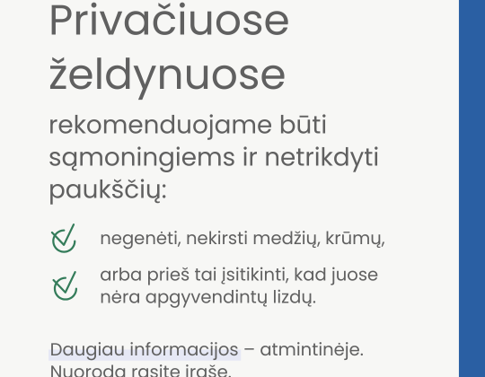 Paukščiai pradeda perėti. Netrikdykime paukščių, saugokime jų namus – lizdus