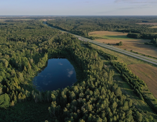 Taujėnai