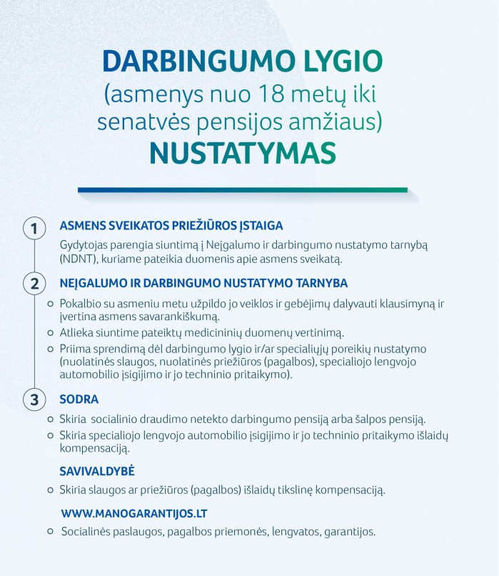 Darbingumo lygio nustatymas