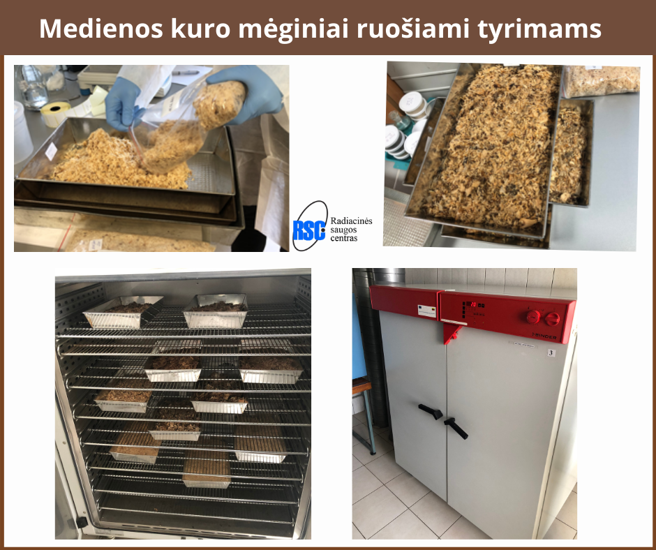 Medienos kuro mėginiai ruošiami tyrimams
